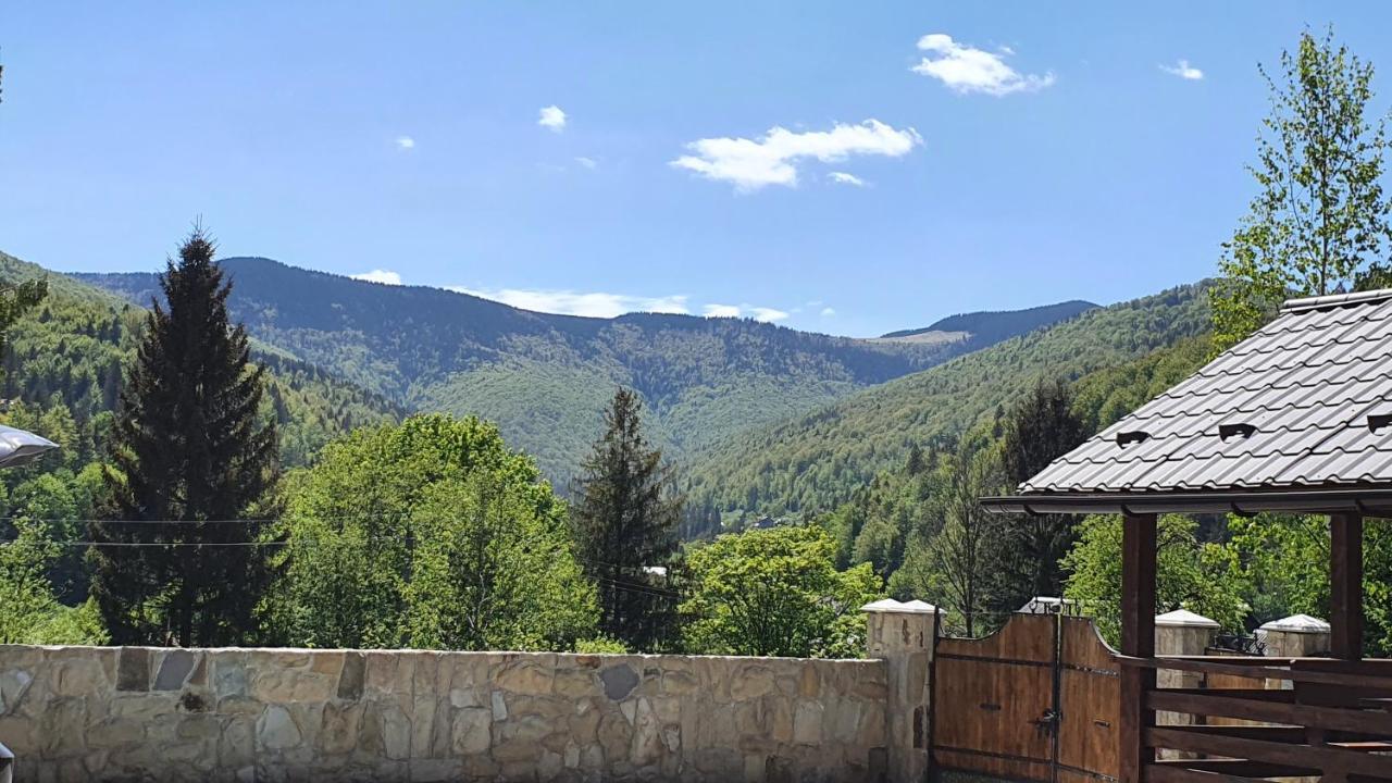 Olko House Διαμέρισμα Γιαρέμτσε Εξωτερικό φωτογραφία